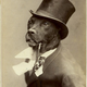 Illustration for article titled Even In The 1900s, Humans Were Obsessed With Photos Of Dogs In Clothes